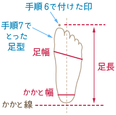 足長、足幅、かかと幅の図解