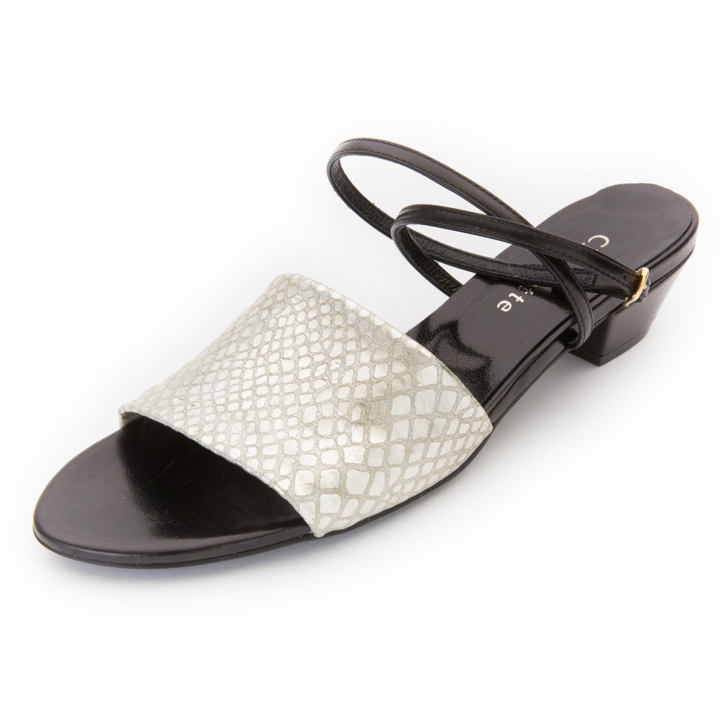 Lisa シルバー x 黒 中止画像