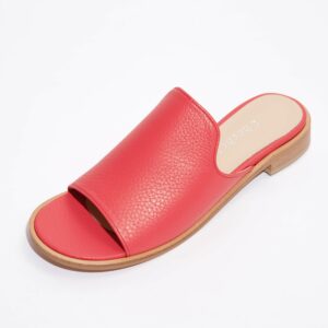 Tory コーラル画像