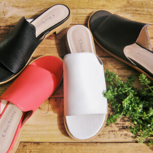 Toryイメージ画像