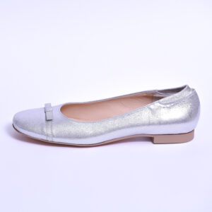 Nicole シルバー 横画像